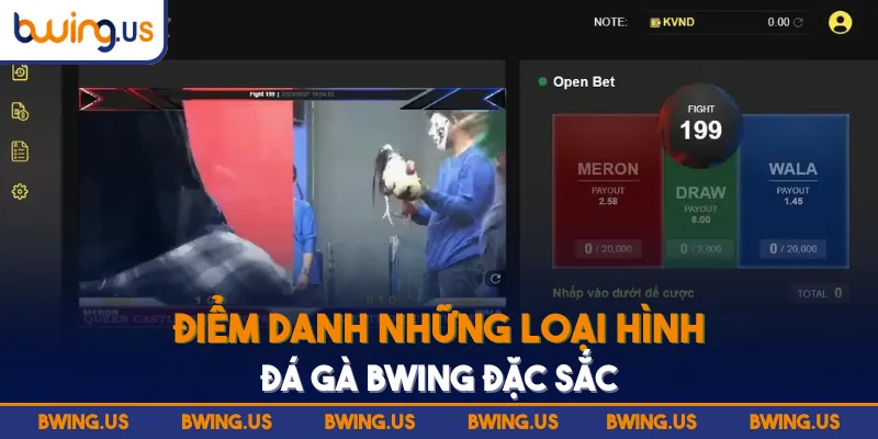 Điểm danh những loại hình đá gà BWING đặc sắc